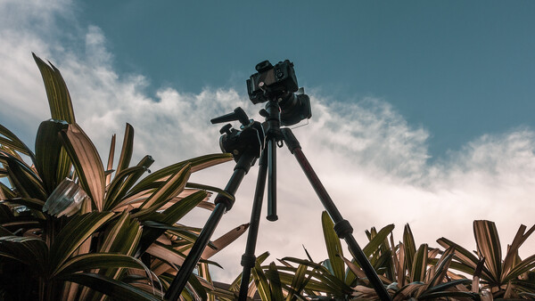 A Review of the Sony a7R IV Based on What Matters to Landscape and Travel Photographers