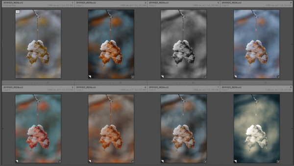 How to Use Virtual Copies and Snapshots in Lightroom