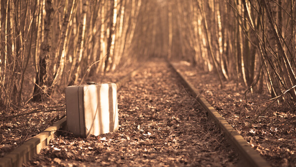 Learn How to Start Your Photography Journey Here