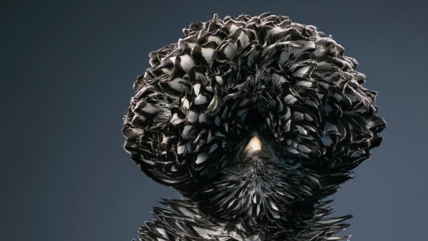 Studio Portraits of the World's Most Extravagant and Endangered Species