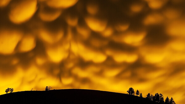 Incredible Images From the Royal Society's Scientific Phenomena Competition