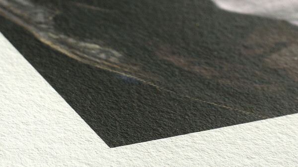 Reducing the Environmental Impact of Your Photography: Hahnemühle's Green Papers