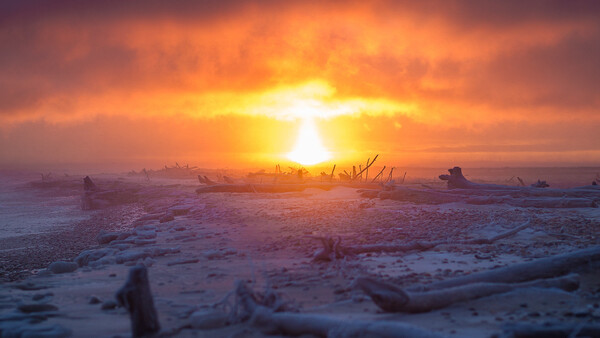 Year of the Sunrise: Michigan Photographer Captures Every Sunrise of 2019