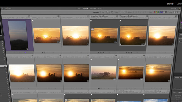 Everything You Ever Wanted to Know About the Lightroom Filter Bar