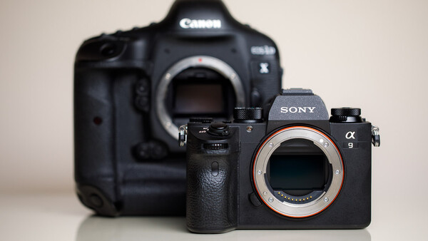 Mirrorless and DSLR Cameras Can Live Next To Each Other