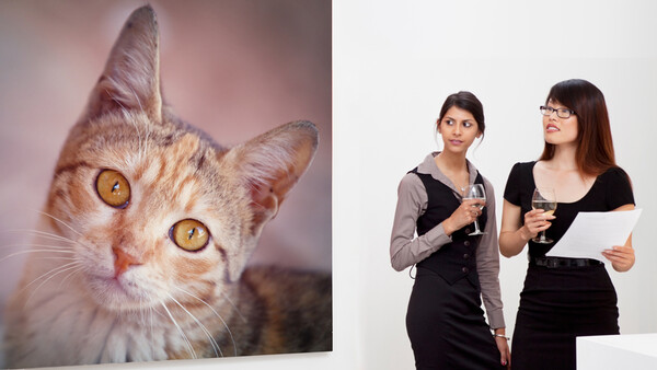 Sorry, but Your Photography Is Not Fine Art. Here’s Why
