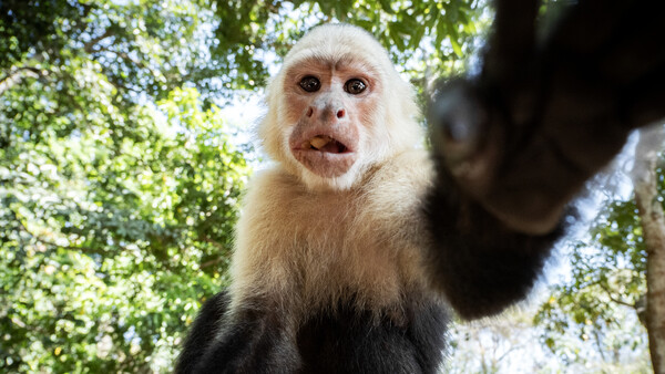 Do You Look Like an Ogre in Video Calls? Me Too. Fix It With Simple Tips From Portraiture