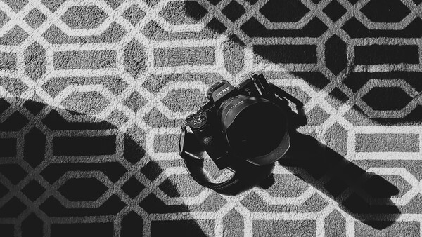A Beginner Photographer's Guide to Camera Care