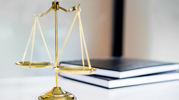 The Supreme Court Rules That States Can't Be Sued for Copyright Infringement in Landmark Case, Free to Use Image as They Wish