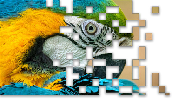 Five Steps to Preserve as Much Information as Possible in Your Images