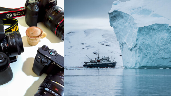 If COVID-19 Causes a Company Like Canon, Nikon, or Sony to Go Bust, How Will You React?