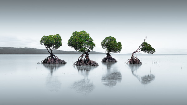 Editing Your Images Into Minimalist Landscape Photographs