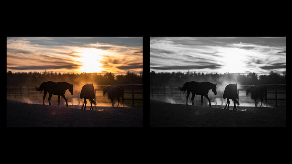 Why the Fujifilm 110mm f/2 WR is Such a Brilliant Lens