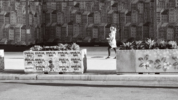 Photography in the Time of the Apocalypse