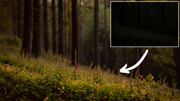 Can You Save a Photo Through Lightroom Editing Alone?