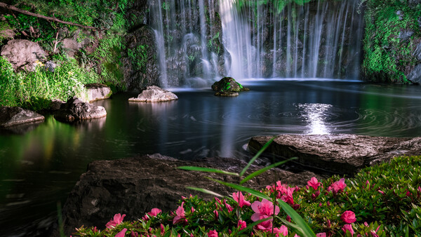 What Are the Hardest Genres of Photography for Beginners to Shoot Well Without a Big Budget?