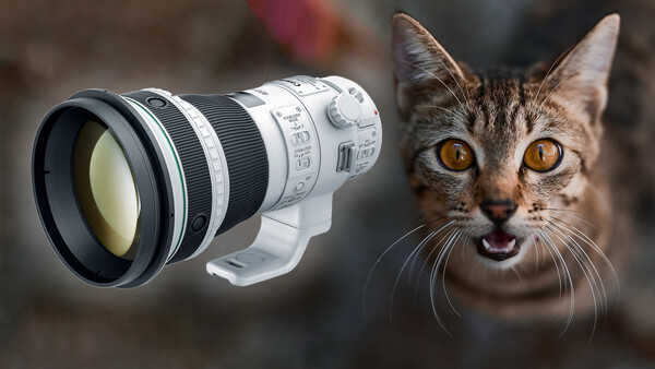 Canon’s 2020 RF Lens Roadmap Emerges: Six New Lenses, Including a Nifty Fifty and Two Big Surprises