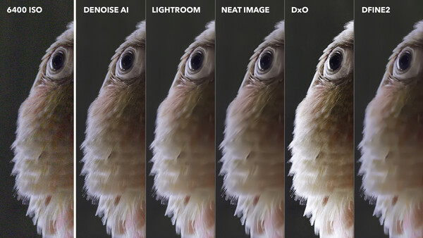 The Image Noise Reduction Challenge: We Compare the Best Noise Reduction Software for Photographers