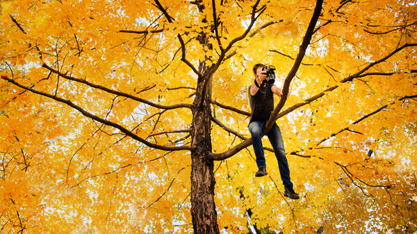 5 Camera Features That Have Changed the Way I Shoot