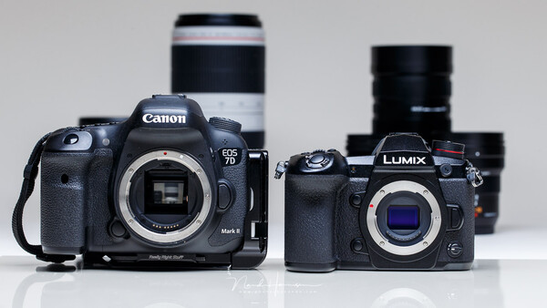 Should I Use a Crop Sensor or Crop an Image From a Full Frame Sensor?