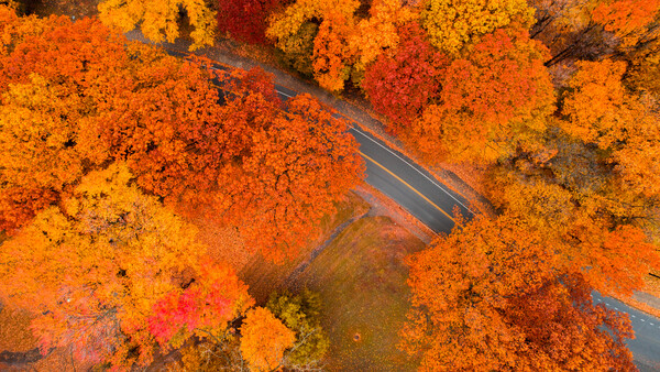Improve Your Photos by Doing More Work Beforehand