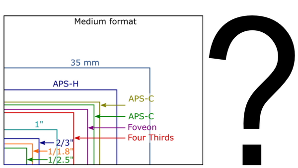 Is APS-C/Full Frame the Best Sensor Strategy for Camera Manufacturers?