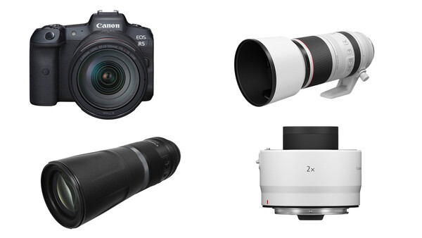 I’m About to Drop Nearly $10,000 on New Canon Gear: I Must Consider These Two Things First