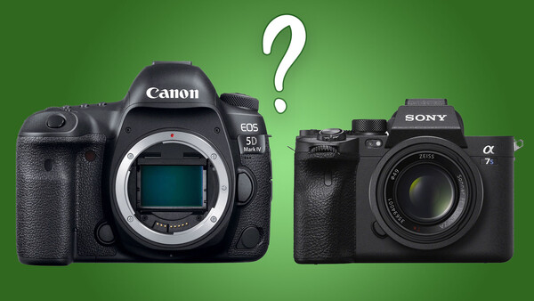 Which Should You Choose: DSLR or Mirrorless?