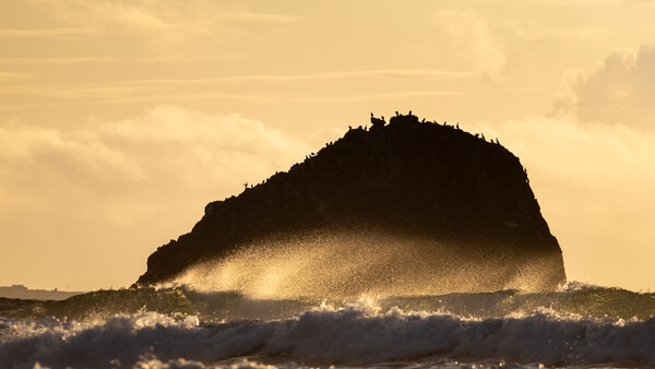 Should You Manipulate Your Landscape Images?
