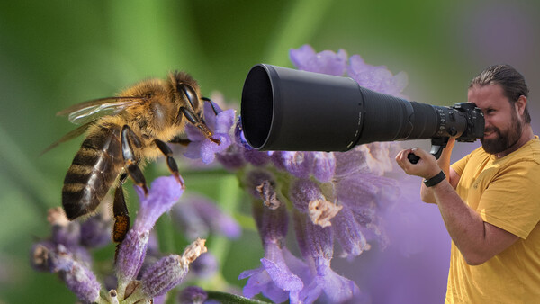 I Turned a 600mm Into a Macro Lens: This Is What Happened