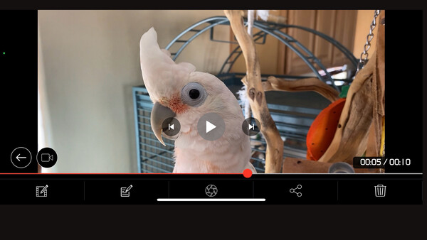 SnipBack for iOS and Android Gives You a Second Chance at Photos