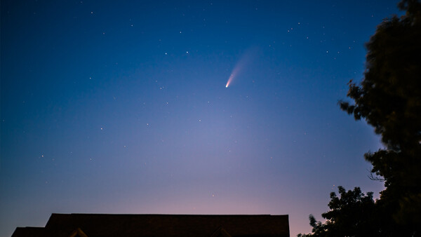 The 15 Best NEOWISE Comet Photos We Could Find