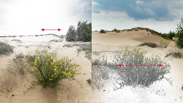 The Relationship Between the Foreground and the Background