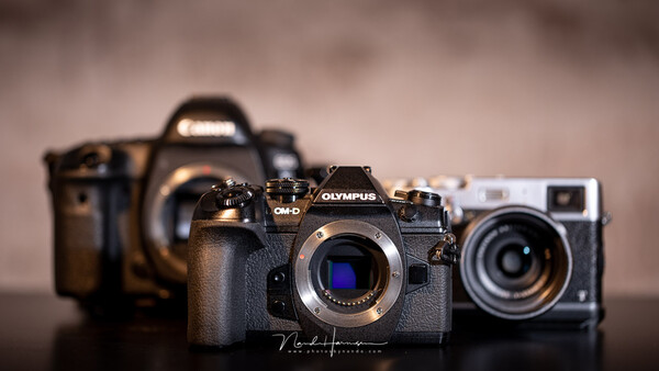 Trying Out an Olympus OM-D: Why Are These Cameras Not That Popular?