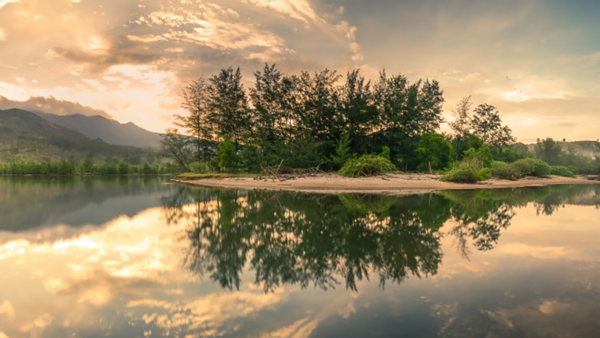 8 Essential Composition Tips to Improve Your Photography