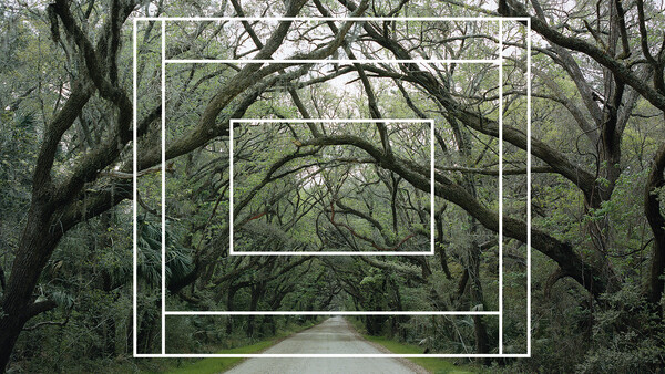 A Primer to Shooting Film in 2020: Format and Camera Options