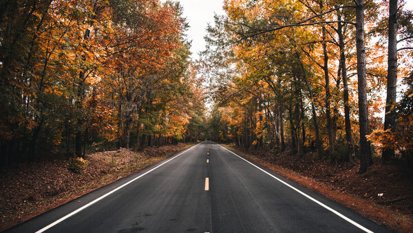 Tips for Getting Better Landscape Photos in Autumn