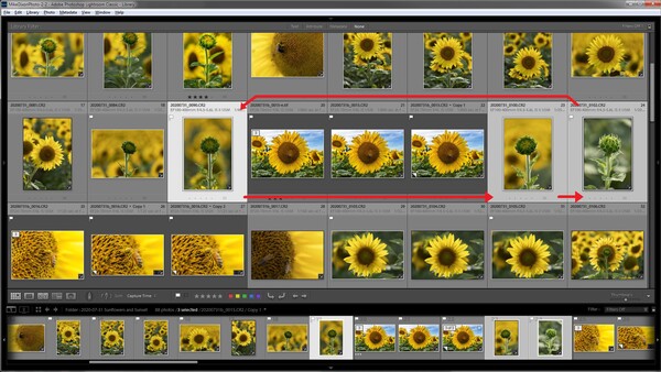 Three Lightroom Features That You Probably Don't Know About
