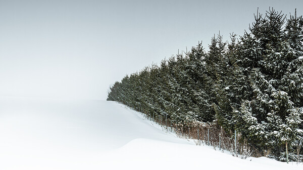 What Does It Take to Make a Minimalist Photo?