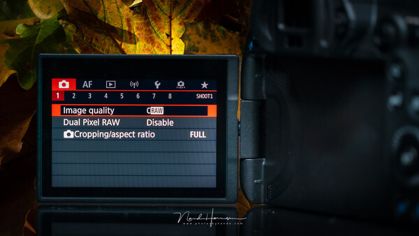 Is There Any Quality Difference Between Raw and cRAW on the New Canon Mirrorless Cameras?