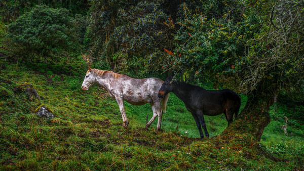 11 Ways to Improve the Sharpness of Your Images (Part 2)