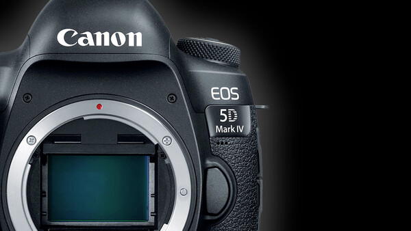 Canon Dominated Gear Rentals in 2020 — Again