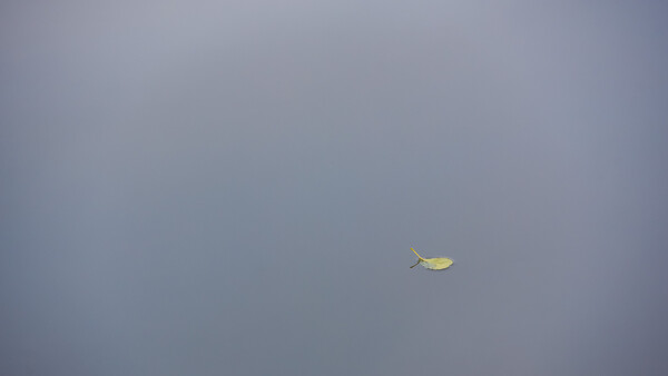 What Is Minimalist Photography and How Do You Do It?