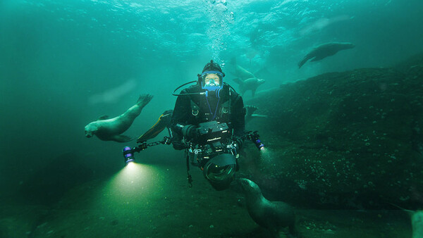 How National Geographic and BBC Filmmaker Bertie Gregory Captures Animal Behavior