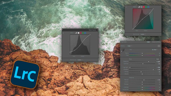 Do You Know the Difference Between Basic Adjustments and Curves?