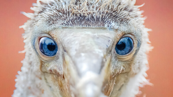 11 Ways to Improve the Sharpness of Your Images (Part 4)