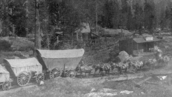 A Full Team on the Sierras: Images From 1866