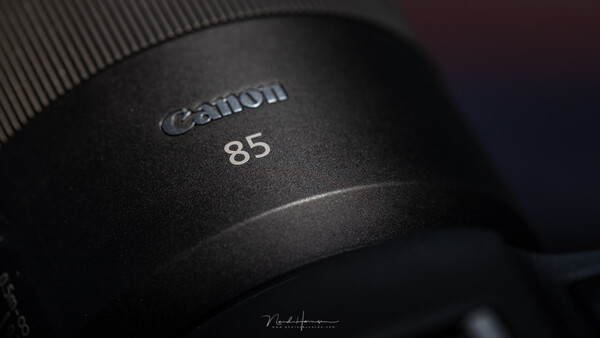 Fstoppers Reviews the Canon RF 85mm f/2 Macro IS STM Lens | Fstoppers