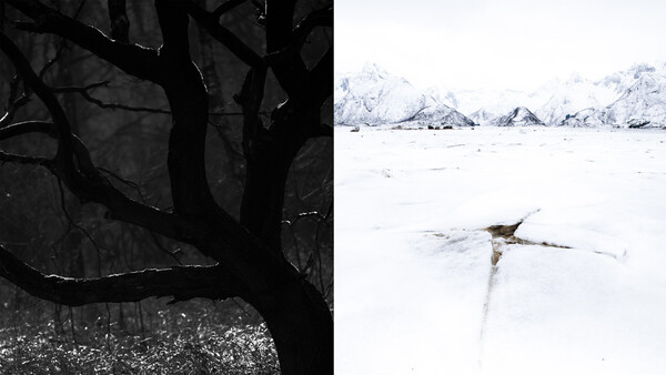 A Closer Look at High Key and Low Key Photography