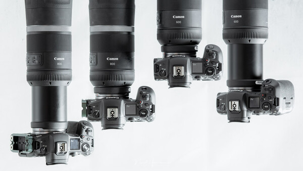 Fstoppers Reviews the Canon RF 600mm and RF 800mm